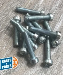 Budget ???? BMI 1/4-20 X 1-1/4" Pozidriv Head Fillister Screw (Pack Of 12) ⌛