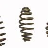 Buy ⌛ BMI Seat Spring (Blem) ???? -Million Shop 300113