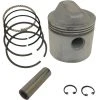 Cheapest ❤️ BMI Piston Kit, Complete With Rings & Pin Harley-Davidson 900cc Sportsters ???? 2 Cheapest ❤️ BMI Piston Kit, Complete With Rings & Pin Harley-Davidson 900cc Sportsters ???? -Million Shop J17549